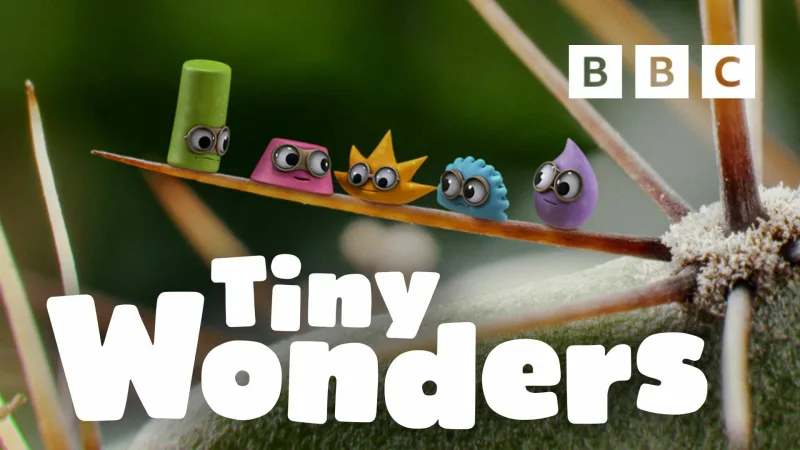 BBC英文科普动画片《Tiny Wonders 小奇迹》全五季共51集，教你学会观察、探索自然界小奇观！1080P高清视频带英文字幕，百度网盘下载！-Roykid-洛伊儿童